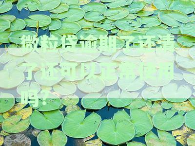 微粒贷逾期后还清，征信是否会受到影响？如何恢复信用记录？