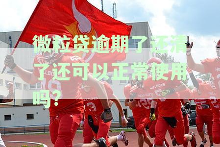 微粒贷逾期还款后能否再借款？会受到影响吗？安全吗？