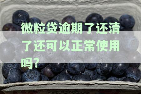 微粒贷逾期还款后，贷款功能是否恢复？如何解决逾期问题以确保正常使用？