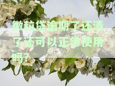 微粒贷逾期还款后，额度恢复时间、再次借款条件以及信用修复方式探讨