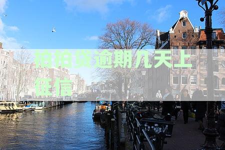 拍拍贷逾期几天上征信报告？逾期的影响及2020的具体时间和后果