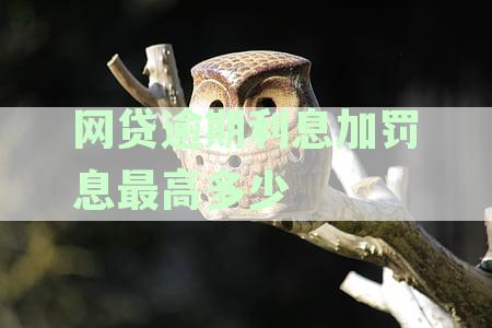 逾期罚息过高，是否还有其他解决方案？