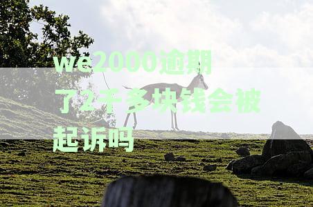 We2000逾期还款后果及应对措：是否会被起诉？如何避免逾期风险？