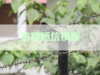 逾期短信模板设计指南：全面解决用户可能搜索的相关问题