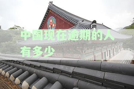 中国负债人群待偿金额创新高：逾期人数统计数据解读