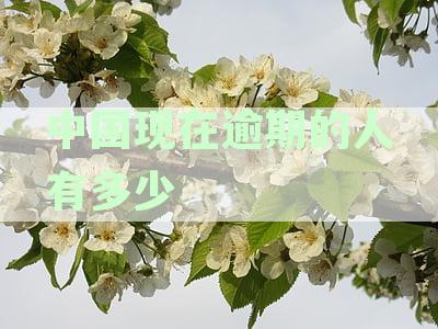 中国现在逾期的人有多少
