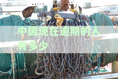 XXXX年中国信用卡逾期率数据统计分析：负债情况对逾期人数的影响