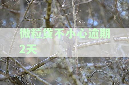 微粒贷逾期两天：还款是否会产生影响？有什么后果？