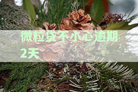 微粒贷不小心逾期2天