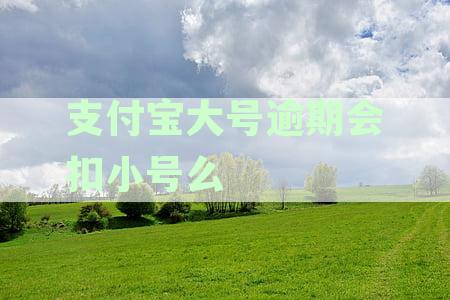 支付宝逾期后，使用大号支付会被扣款吗？