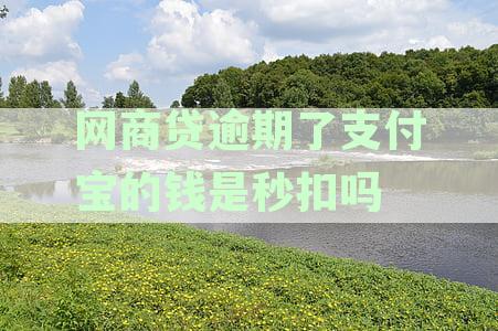 支付宝网商贷逾期还款指南：如何处理，后果与再次借款