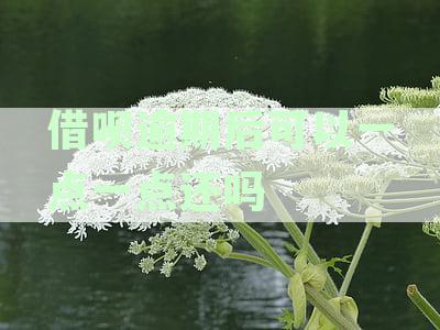 逾期款立案标准：金额、时间及可能的法律后果全面解析