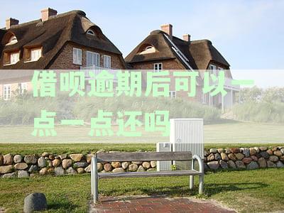 借呗逾期后可以一点一点还吗