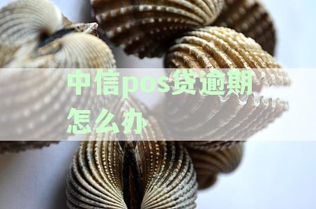 中信银行pos办理及网贷目标市场分析