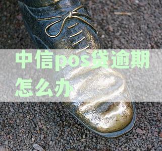 中信银行pos机办理全指南：如何高效申请与安全使用
