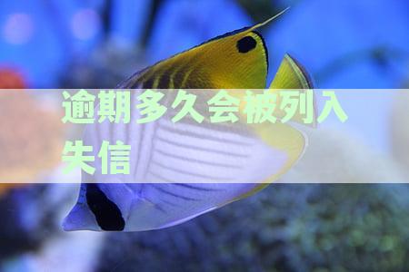 详解逾期多久可能被列入失信名单及列入后的影响与后果