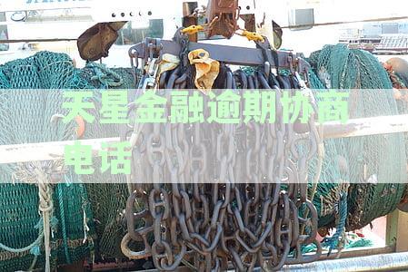全面解析天星金融催款电话：应对策略与常见问题解答