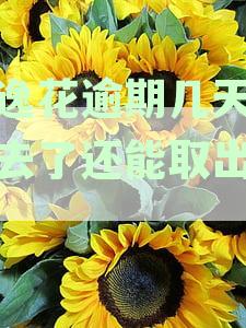 安逸花逾期几天还进去了还能取出来吗，逾期后还能使用及是否上征信怎么办？