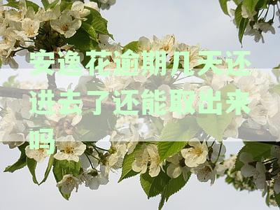安逸花逾期几天还进去了还能取出来吗
