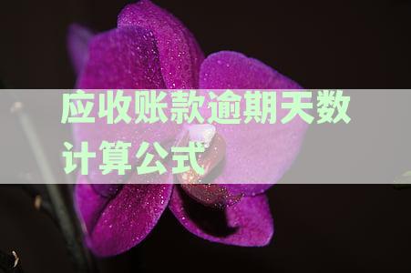 平均应收账款逾期天数计算公式详尽解析与资讯整理
