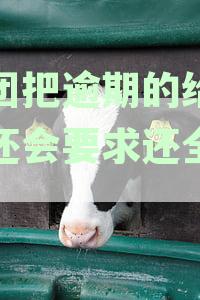 美团逾期还款后全额追讨可能性分析：逾期还款处理与后续追偿政策解读