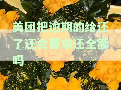 美团把逾期的给还了还会要求还全额吗