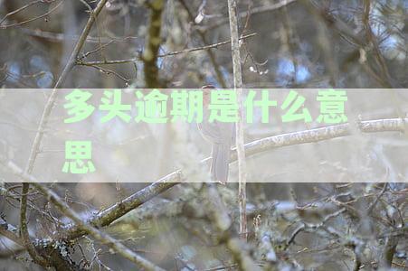 逾期多久会被列入失信人名单：网贷、信用卡逾期及上征信黑名单详解
