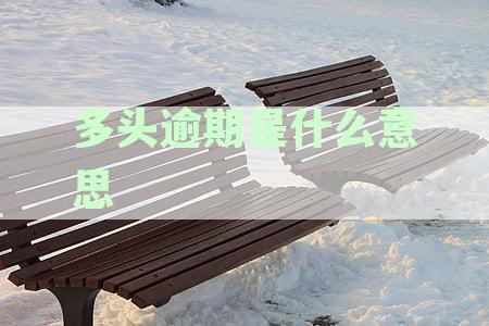 多头逾期是什么意思