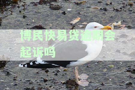 逾期未还博民快易贷，面临起诉风险，这是真的吗？
