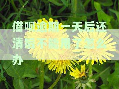 支付宝借呗逾期一天还款后，多久可以恢复借款？还能借出来吗？最新资讯解读