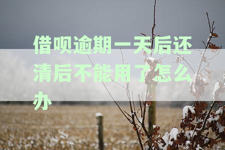 借呗逾期1天还款后提现受限：原因解析与解决方法全攻略