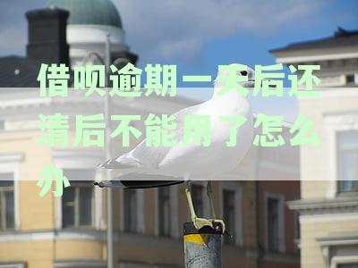借呗逾期一天后还清后不能用了怎么办