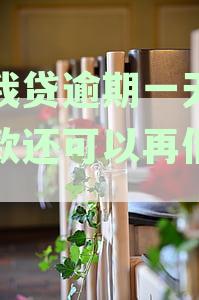 逾期一天还款后，你我贷借款资格恢复及再次借款全解析——卡农答疑解惑