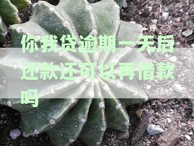 你我贷逾期一天后还款还可以再借款吗及借款安全性探讨