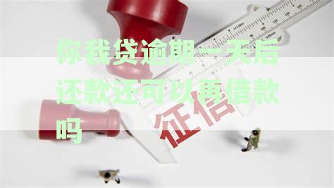 你我贷逾期一天还款后，还能否再次借款？安全性如何？