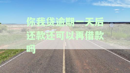你我贷逾期一天对借款影响解析：还能否继续借款及解决方案