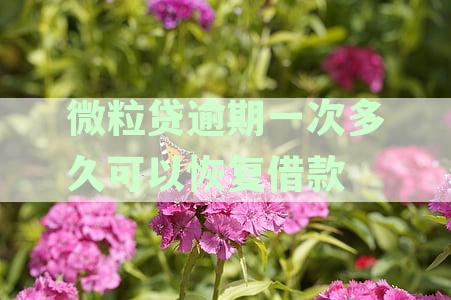 '微粒逾期一次，多久后记录恢复正常？探讨逾期对征信影响的时间资讯'