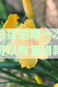 '微粒贷逾期多久会被要求一次性还款？详解一次性还款的具体要求与资讯'