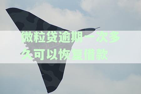 微粒贷逾期一次后额度恢复全解析：逾期影响、恢复时间及再次借款可能性