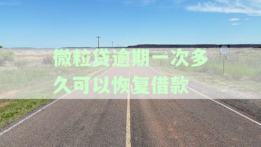 微粒贷逾期过，多长时间可以重新借款及使用或开通微粒贷？