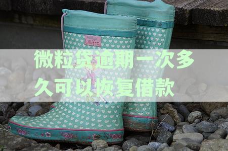 微粒贷逾期一次多久可以恢复借款