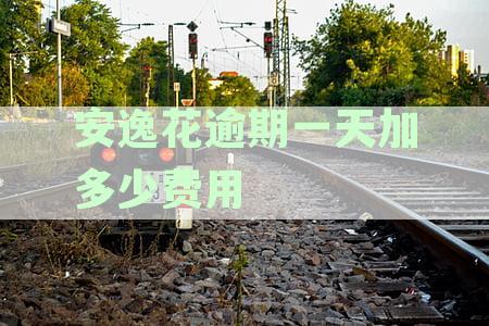 '安逸花逾期一天产生的费用多久会上征信，天会收取多少额外收费'
