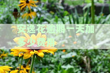 '逾期还款安逸花，仅逾期一天会有什么影响？探究还款后果要紧吗？'