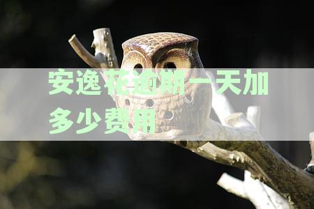 安逸花逾期一天对以后贷款有影响吗：逾期一天后果、能否再借及征信影响解析