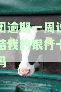 美团逾期一周说要冻结我的银行卡真的吗
