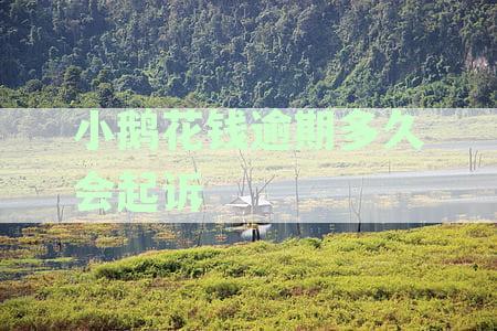 小鹅花钱逾期会被起诉的具体时长解析：逾期多久将面临起诉风险