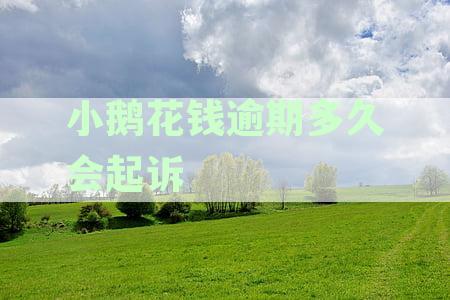 小鹅花钱逾期后果解析：逾期多久可能被起诉及应对策略