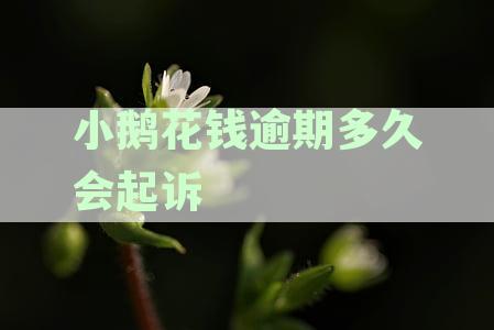小鹅花钱逾期后催收流程多久开始电话提醒