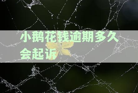 小鹅花钱逾期处理流程与可能的法律后果：逾期起诉风险及应对措解析