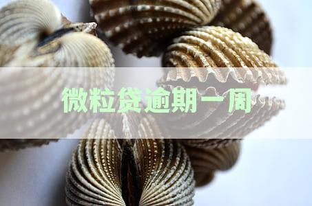 微粒贷逾期一周
